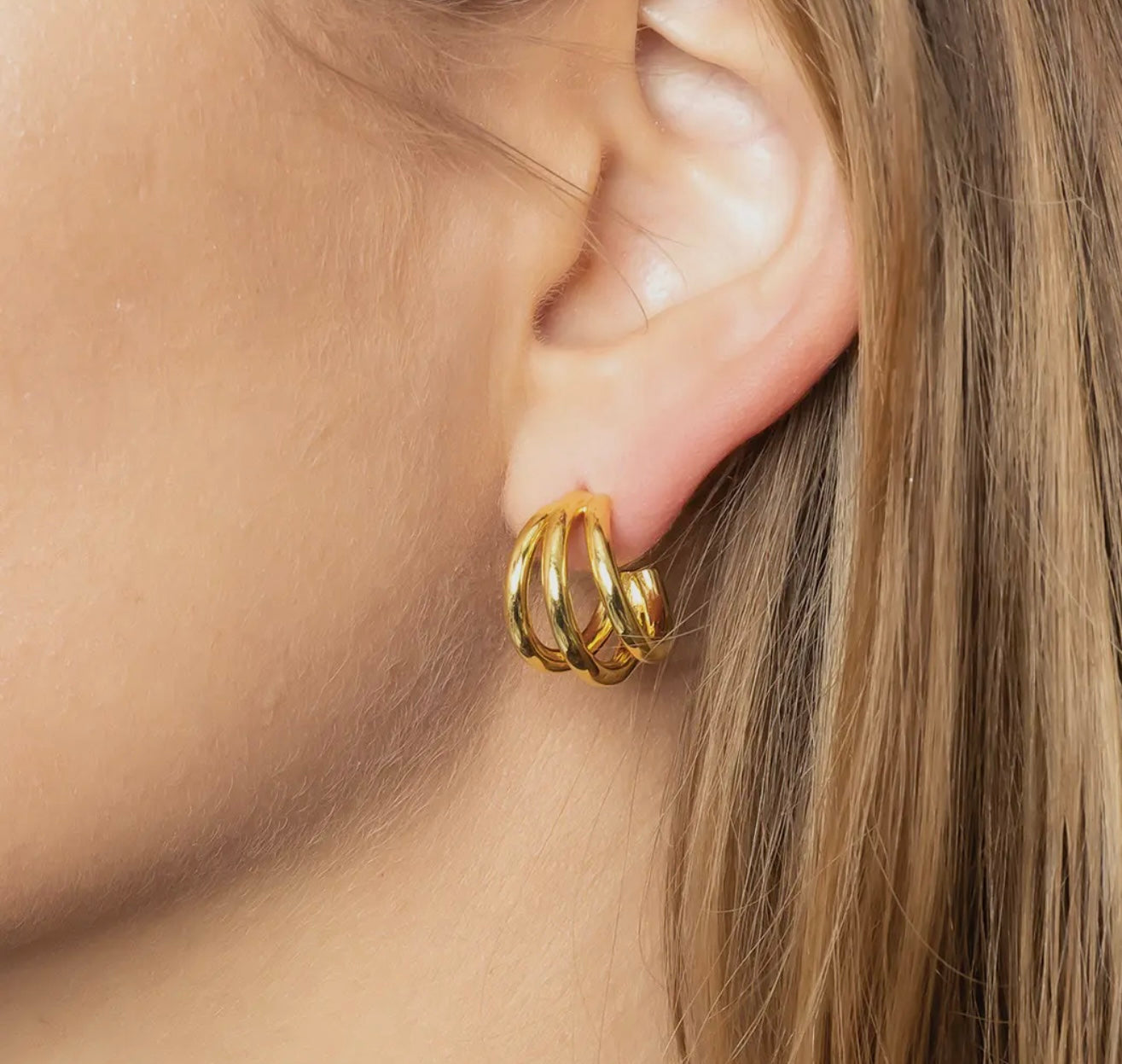 Gold Dipped Double Ring Earrings