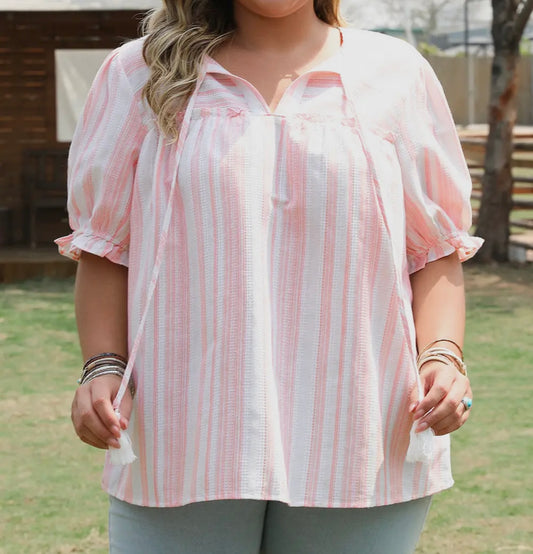 Pink Stripped Blouse Plus
