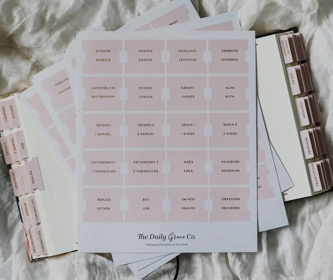 Blush Bible Tabs