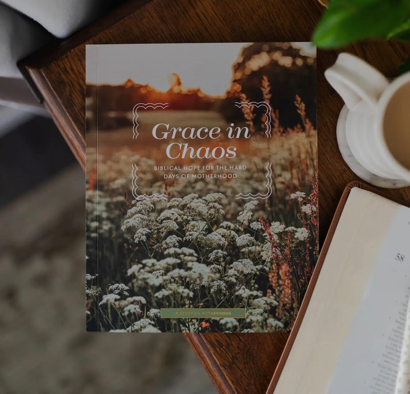 Grace in Chaos Bible Study
